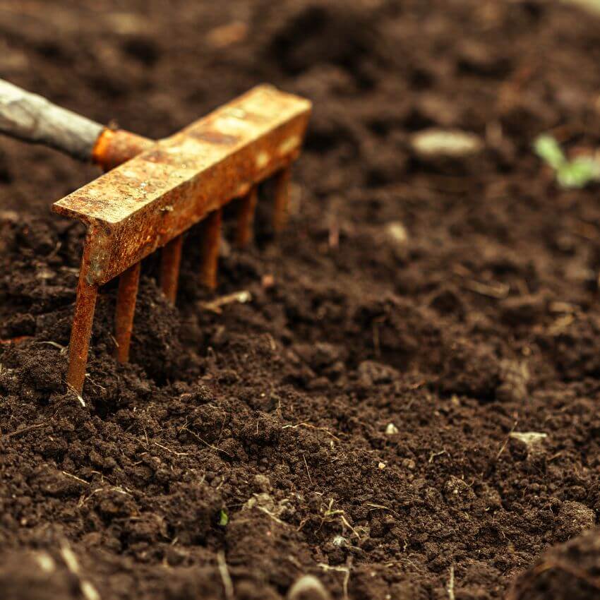 Soil preparation and planting